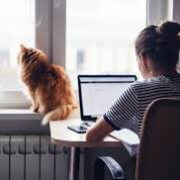 Blog post during COVID 19.